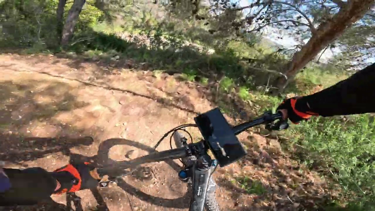 יער עופר ,סינגל השלוחה 23.03.24 (2)