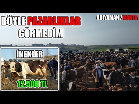 BİRÇOK PAZARA GİTTİM HİÇ BÖYLE KARŞILANMADIM !! | BOL PAZARLIKLI KAHTA HAYVAN PAZARI !!!