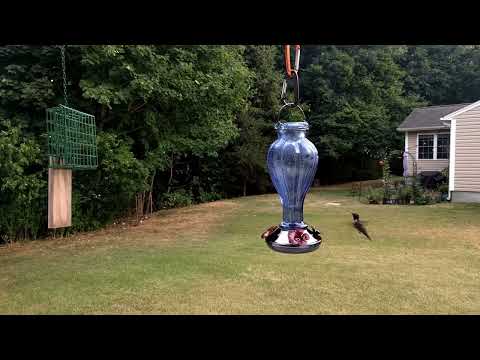 The Hummermans S02E07 - Rednecks and Greenbacks