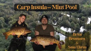 Carp Insula - Mint Pool, 96 uur vissen met Brice Brouwers & Stan Ehren