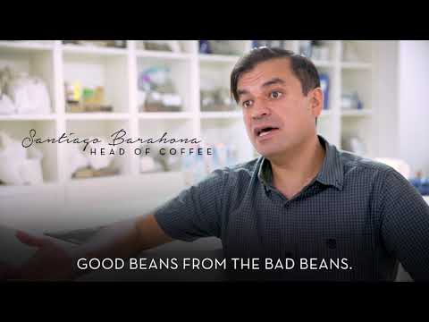 Video: Do caffe nero do decaf?