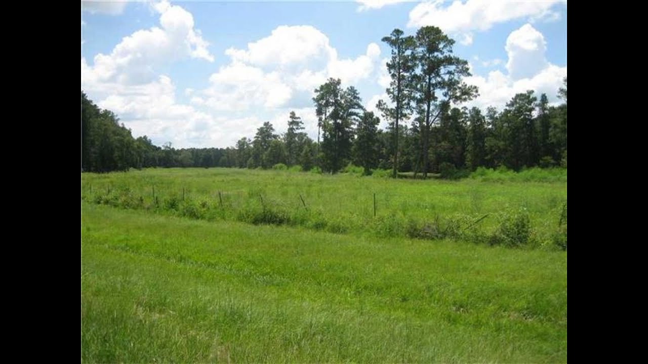 Property for sale HWY 442/I55 Highway, Tickfaw, LA 70466 YouTube