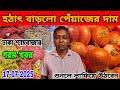 17-07-2025 তারিখ। সকালে আবারো বাড়লো পেঁয়াজের দাম। আদা রসুনের দাম কত? Onion Price Market Today.