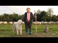 Baciu Ștefan la 72 de ani are grijă de oi | Povești ciobănești și de viață - video 2020