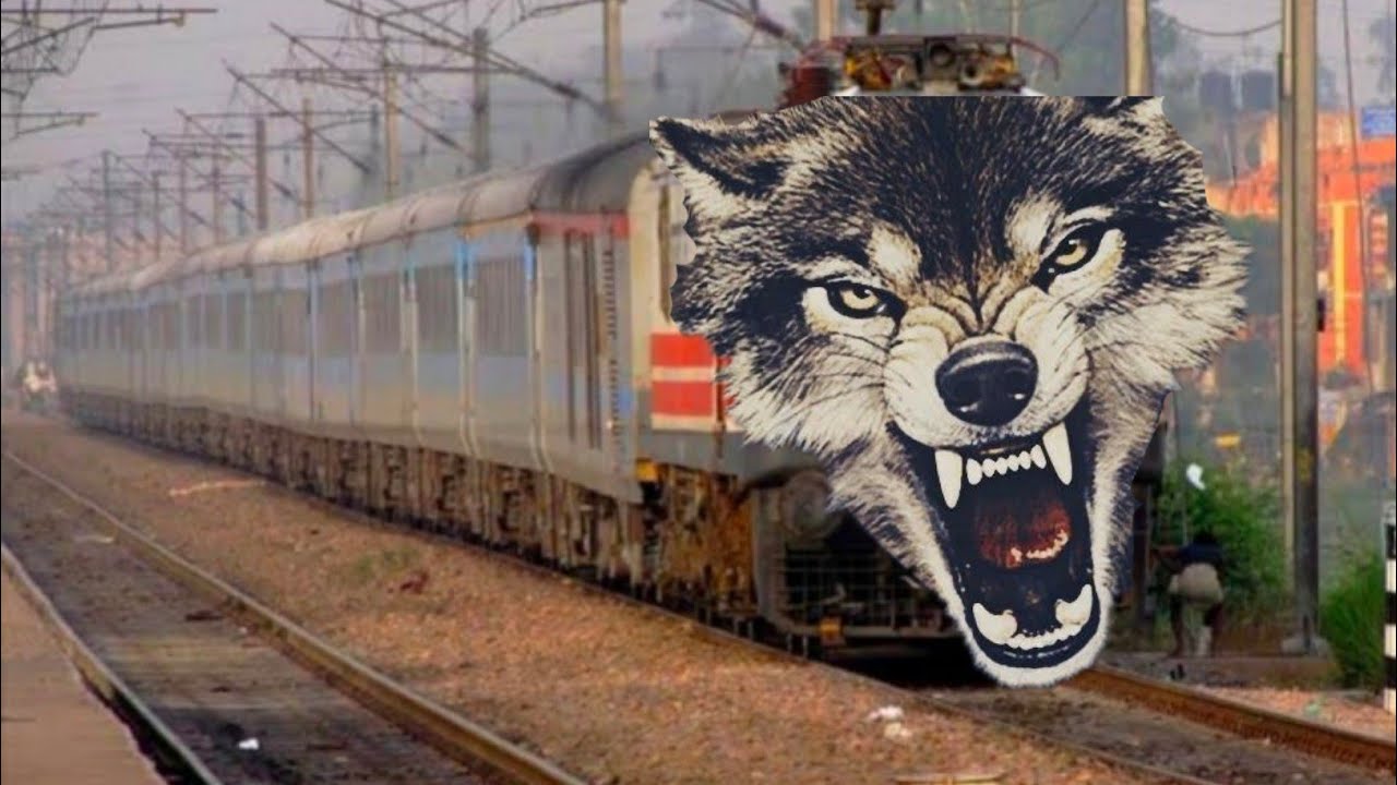Angry Rail dangerous angry dog train. Indian railway.May 25, 2022 - YouTube