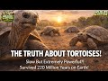 How Turtles Survived 220 Million Years on Earth!?