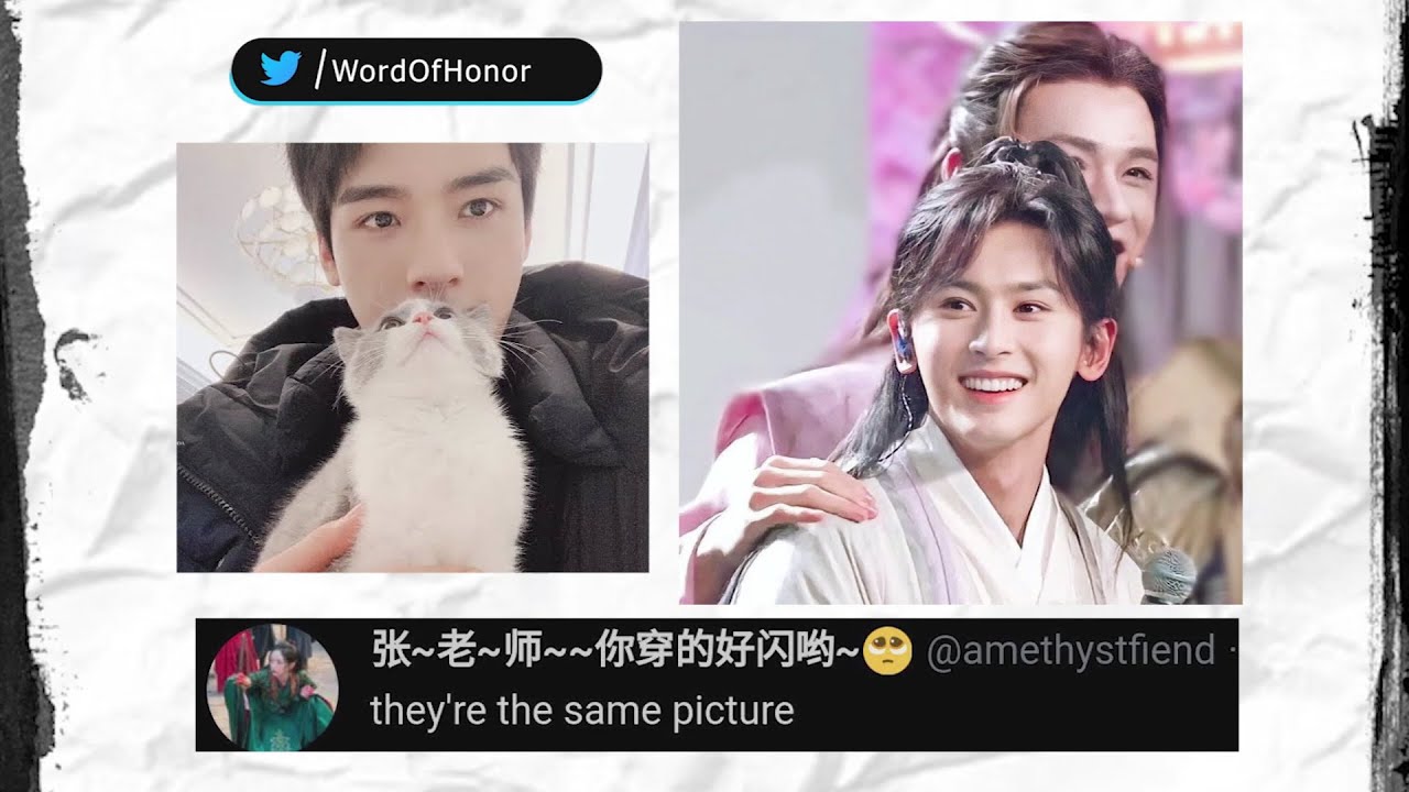 Word of Honor tweets that will steam your dumplings