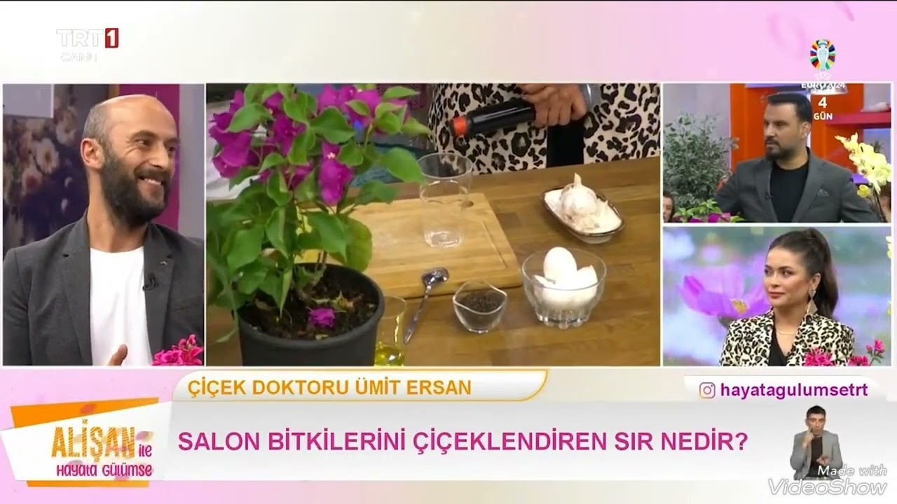 Güllerde böceklenme sorunu