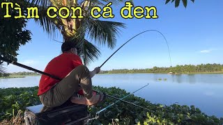 ✅ 233 phút câu cá hồ bán thiên nhiên 106 La Ngà, Đồng Nai về thả hồ | DUY FISHING SAI GON