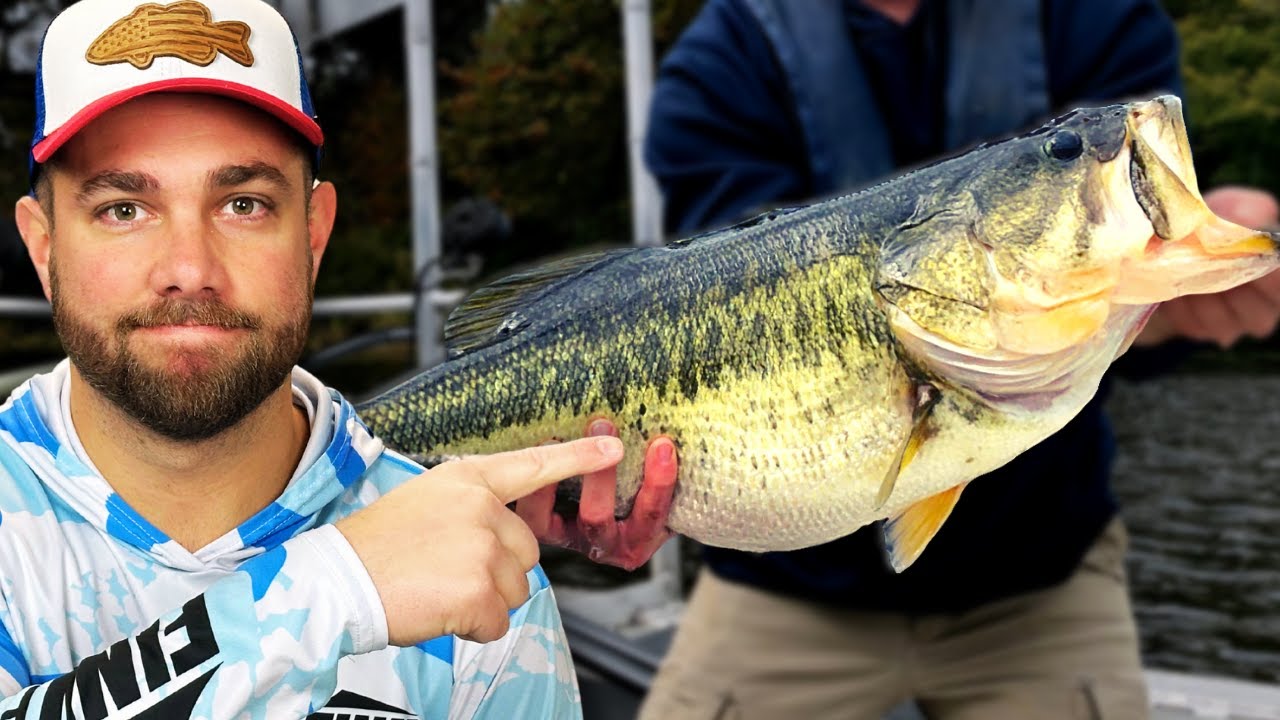 There is 1 Common Denominator In MANY Big Bass LURES