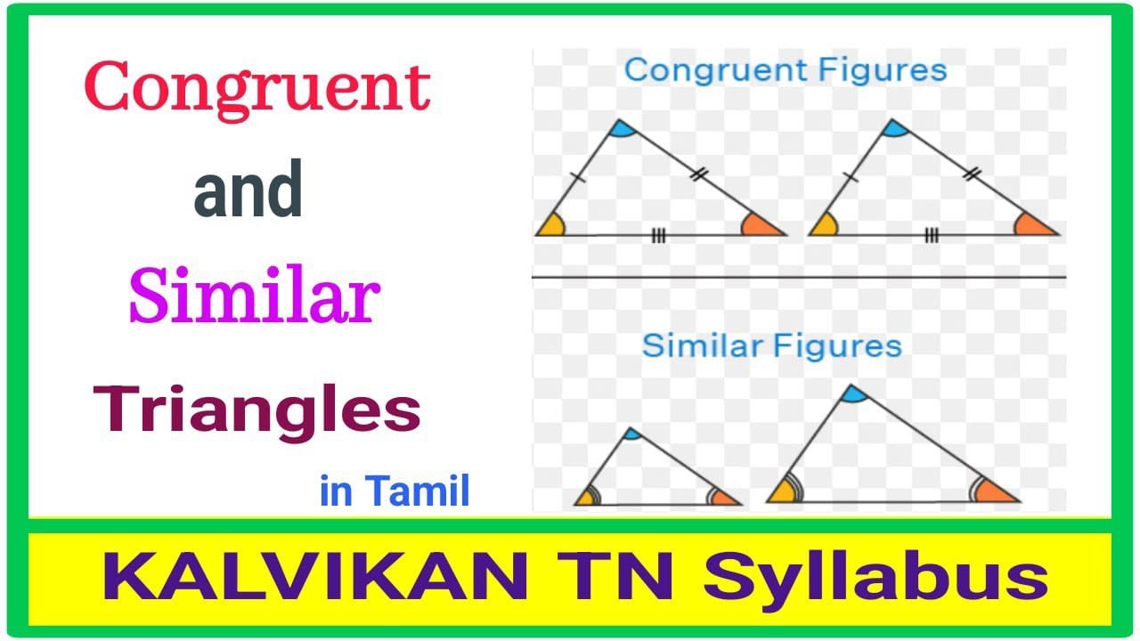 Congruent and Similar Triangles in Tamil / kalvikanTNsyllabus - YouTube