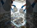 Beach House Flooring Idea 🌊 Sea Stone Epoxy Floor Design #home #epoxy #design #epoxyflooring #shorts