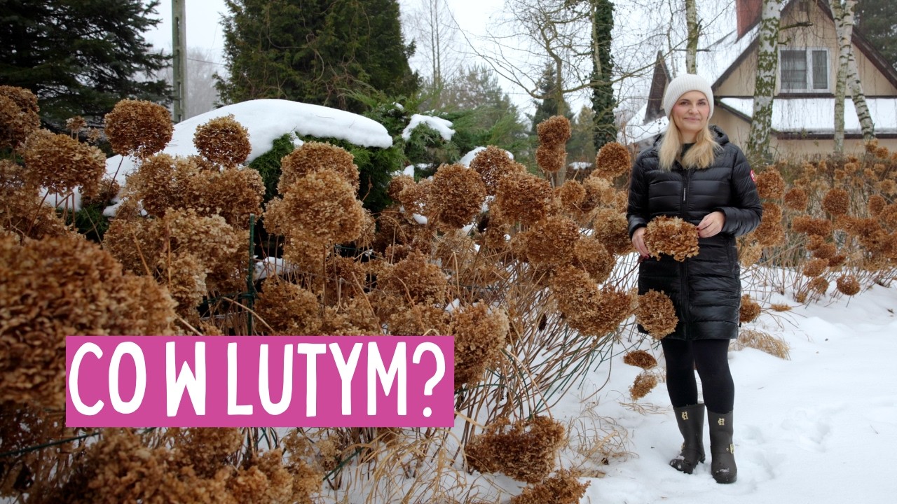 Co robić w ogrodzie w lutym? Co siać, co ciąć, kiedy czekać?