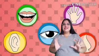 Aula Pré 1 - 15072020 - Os Sentidos - Parte 1