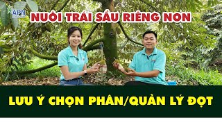 APN - LƯU Ý CHỌN PHÂN VÀ QUẢN LÝ ĐỌT GIAI ĐOẠN TRÁI NON | CHỢ MỚI - AN GIANG