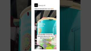 Takip Et Tenhada Kıstır Ve Al