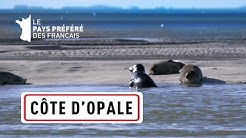 La Côte d'Opale, des Deux-Caps aux marais de Saint-Omer - Les 100 lieux qu'il faut voir
