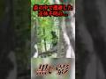 アメリカの森の中で撮影者が遭遇した恐怖…#uma #未確認生物 #未確認生命体