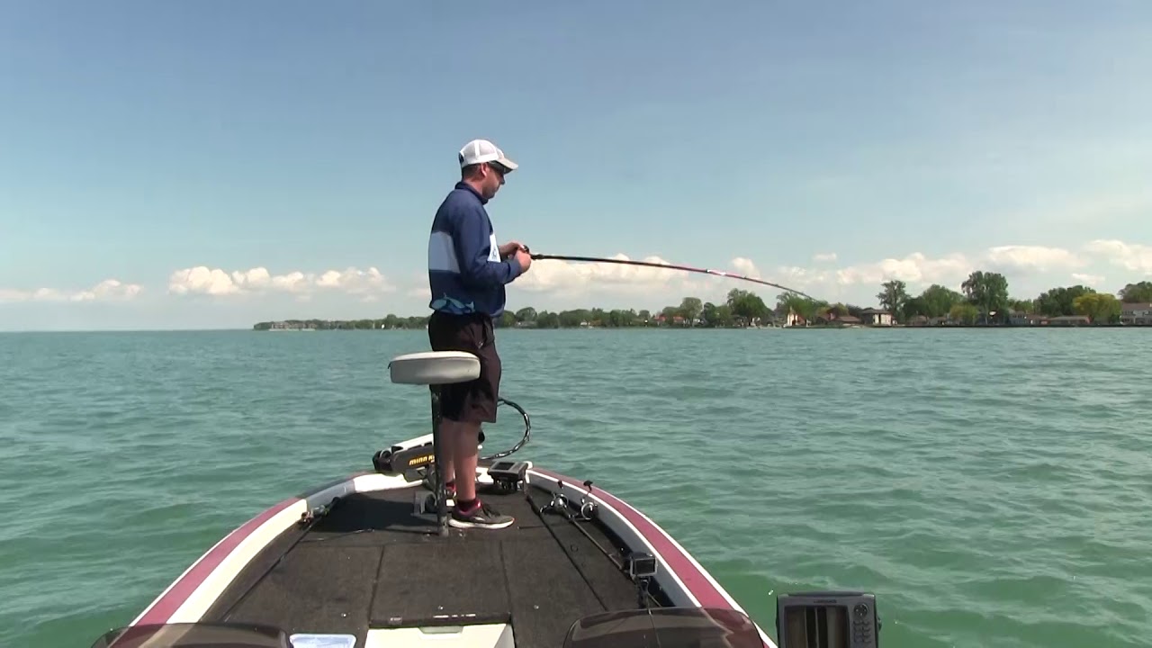 Big bites  with Bait Cloud!!