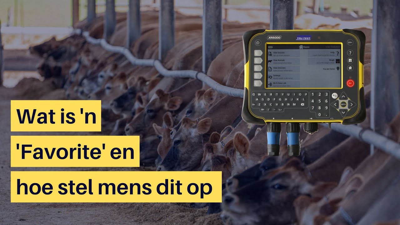 Wat is 'n 'Favorite' en hoe stel mens dit op? RFIDExperts Africa