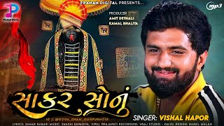 Vishal Hapor Sakar Sonu Goga Maharaj Song New Gujarati Song 2024