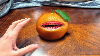 this ORANGE tried to EAT ME...