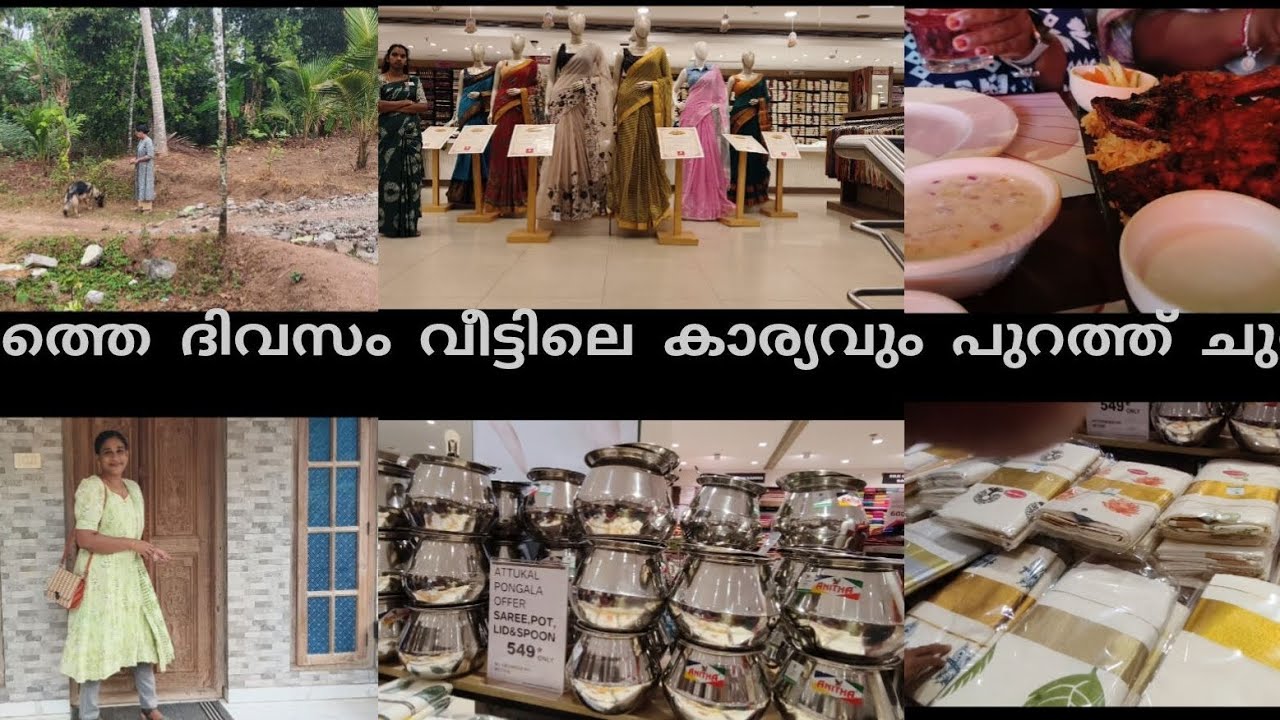 തിരക്കുപിടിച്ച വീട്ട് ജോലിയും അതിനോടൊപ്പം ഒരു യാത്ര 🙏