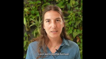 RE!BXL NEWS | Uw advertenties op video!