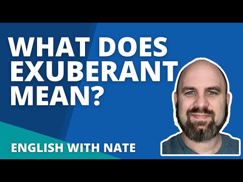 Vidéo: Comment utilisez-vous l'exubérance dans une phrase ?