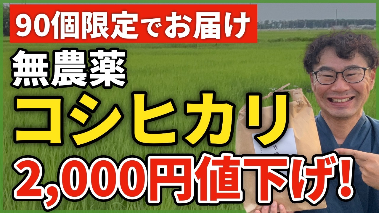 Limited to 90 bags] Pesticide-free Koshihikari rice discounted by