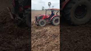 #lantwirt #landwird #deutschland #treger #tregger #tragdor #weitzen #mädrescher #mähdräscher
