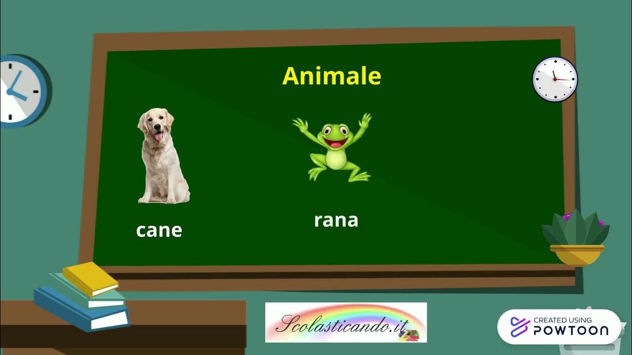 Esempi Di Nomi Propri Di Cosa Scolasticando nomi di cosa animale persona - YouTube