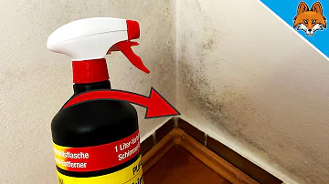 Was tun gegen Chlorgeruch in der Wohnung?