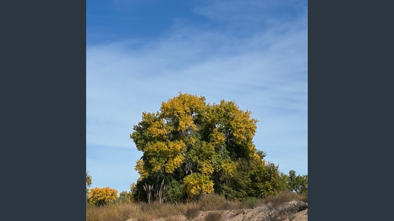 creation auf YouTube ansehen creation auf YouTube ansehen