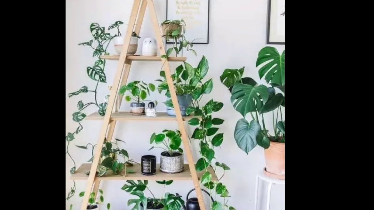 15 Decoration Ideas with Plants to Make Every Corner of Your Home a
