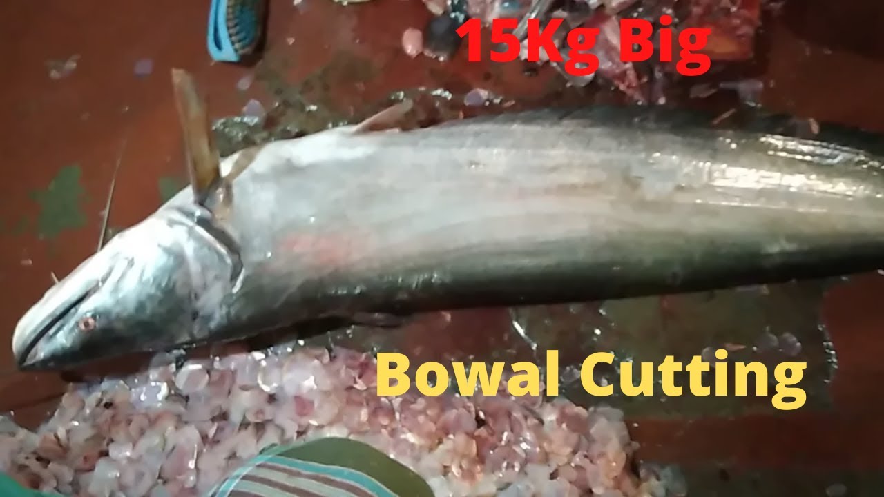 Fish Cutting Easily || Big Bowal Fish Cutting By Bangladeshi Fish ...