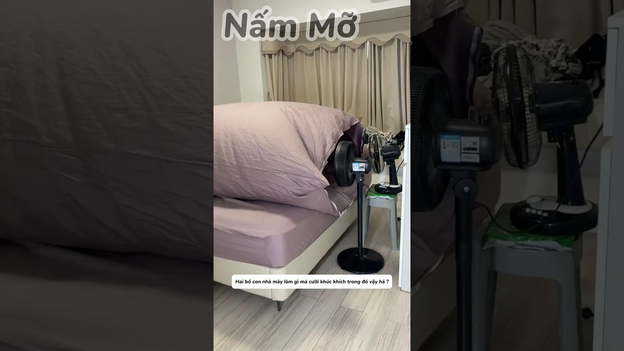 Cả nhà quyết tâm tiết kiệm điện, ai ngờ cái kết khiến mọi người cười ra nước mắt! 😂💡#shorts
