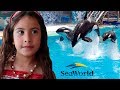 Um dia com os Golfinhos e Baleias do Sea World - Rotina de Férias