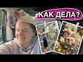 ☀️ВСЕМ ПРИВЕТ!!! КАК ДЕЛА?/СОЛНЕЧНЫЕ ДНИ/К ОСТЕОПАТУ/САМСА С БАРАНИНОЙ🥧/ВЕЧЕРНЯЯ ПРОГУЛКА 27.04.23