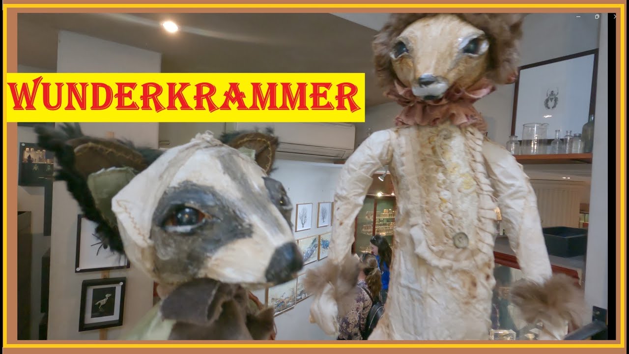 Магазин Wunderkrammer Collectibles в Мельбурне, штат Виктория 