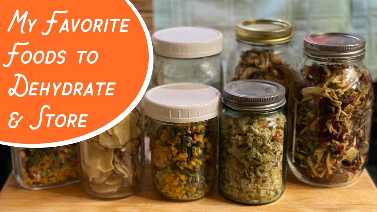 Best Dehydrator for Prepping and Food Storage