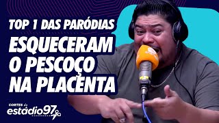 TOP 1 DAS PARÓDIAS - ESSA FICOU SENSACIONAL  ( ESQUECERAM O PESCOÇO NA PLACENTA )