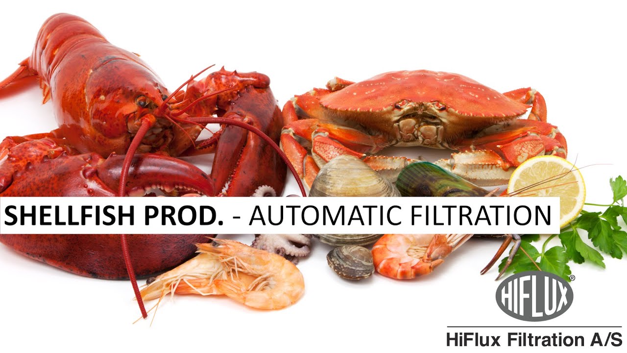 Filtration of shellfish - Auto-line self-cleaning filter - YouTube