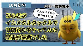 【竿頭】【イカメタルロッドを流用して高級魚を釣る】甘鯛つり⭐︎初心者⭐︎福井⭐︎若狭湾沖⭐︎イカメタルタックルで甘鯛 #オモリグ #イカメタル #アマダイ#釣りガール #釣り女子 #釣り