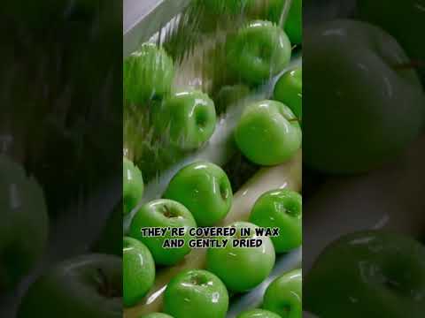 Year-Round Freshness: The