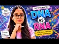 DNA vs RNA Explained in 5 Minutes | Key Differences You Must Know 🧬