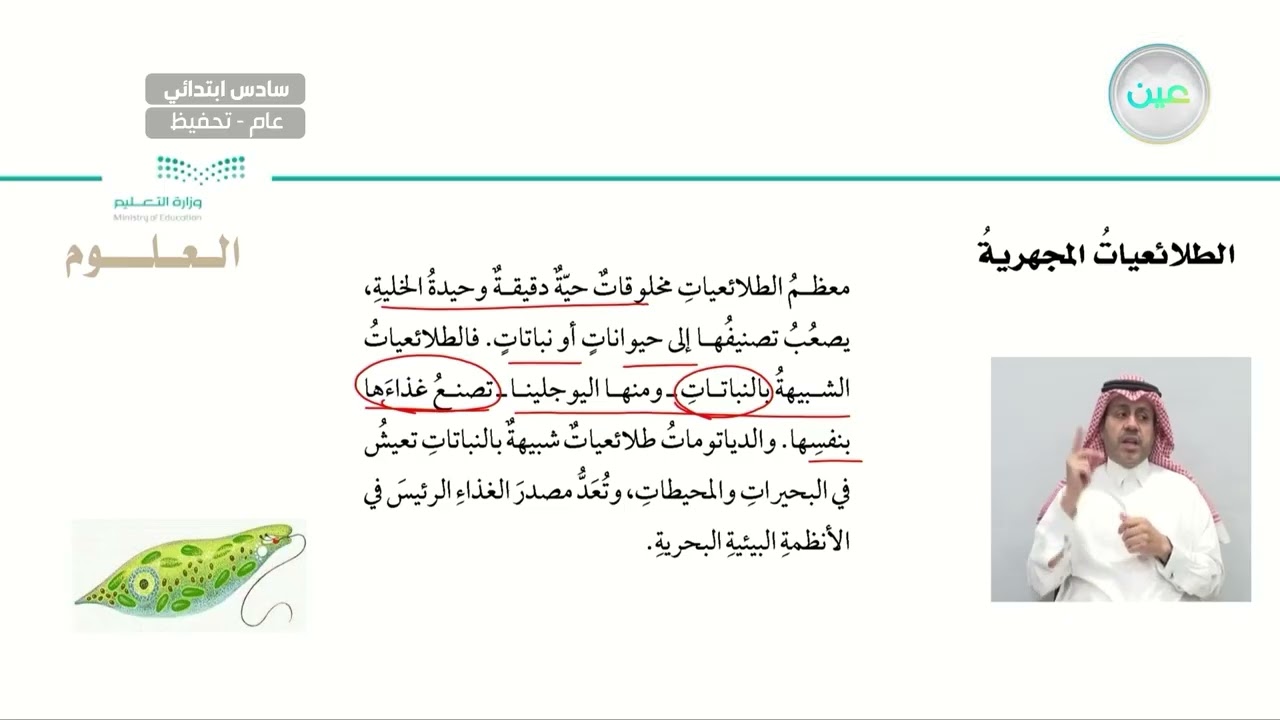 الفطريات المجهرية والطلائعيات المجهرية والبكتيريا والبدائيات - العلوم - سادس ابتدائي