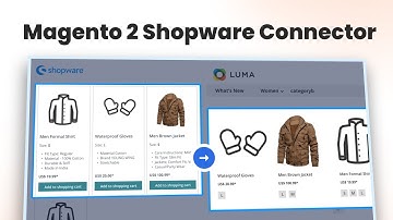 Magento 2 Shopware Connector