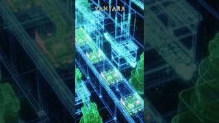 18 months of impact, countless lives touched #Vantara #AnantDadaEra #AnantAmbani