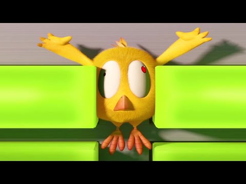 Jumping course | Where's Chicky? | Cartoon Collection in English for Kids | New episodes